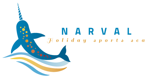 Narval logo